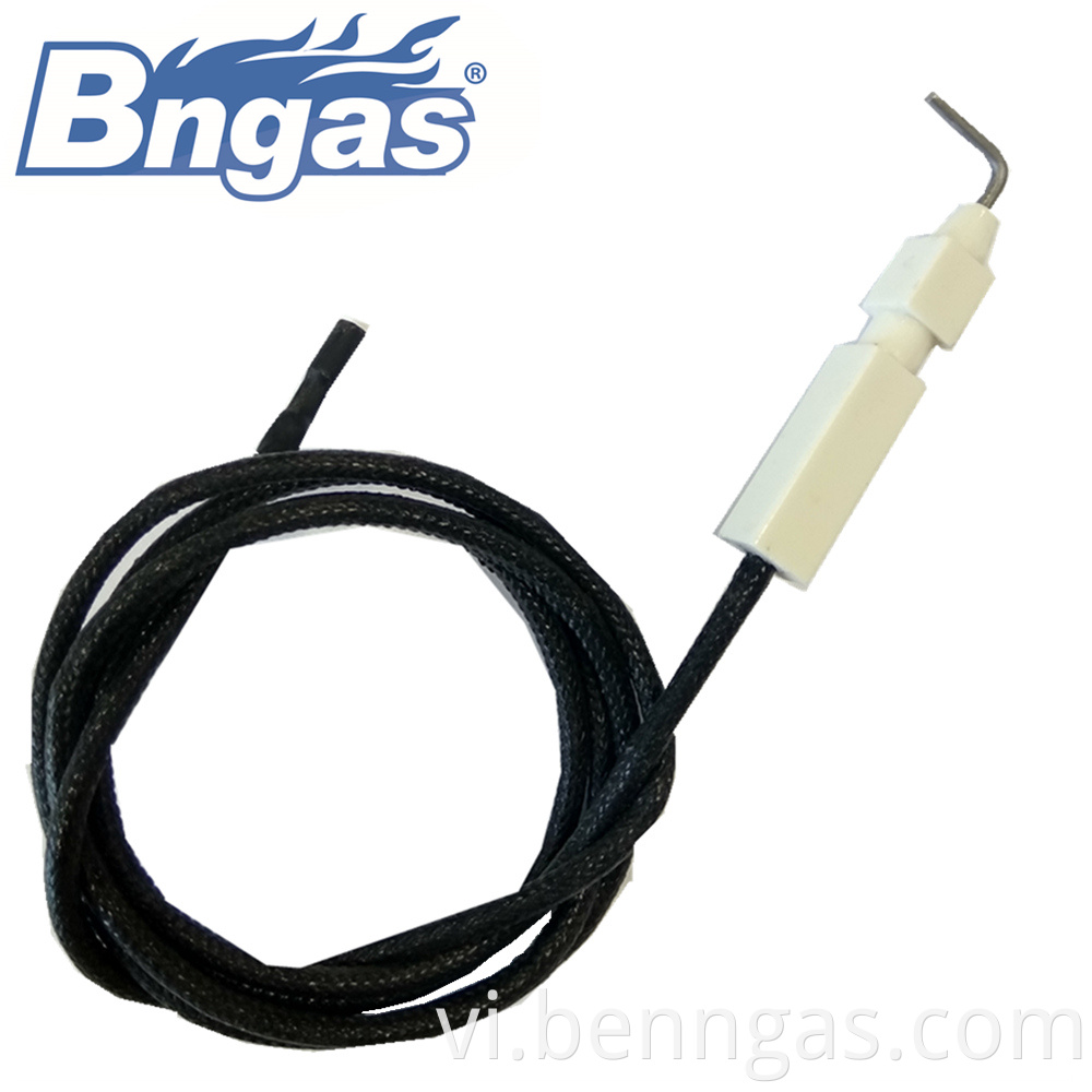 ignition electrodes ceramic igniter